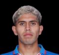 巴尔加斯