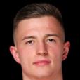 特鲁宾