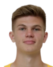 基纳雷金